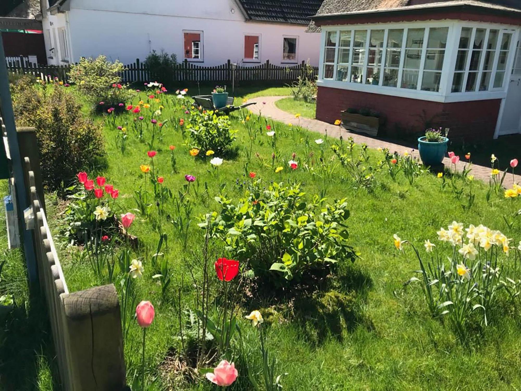 Hues Sanskiin Ferienwohnung *Goodshenk* Suddorf Exteriör bild